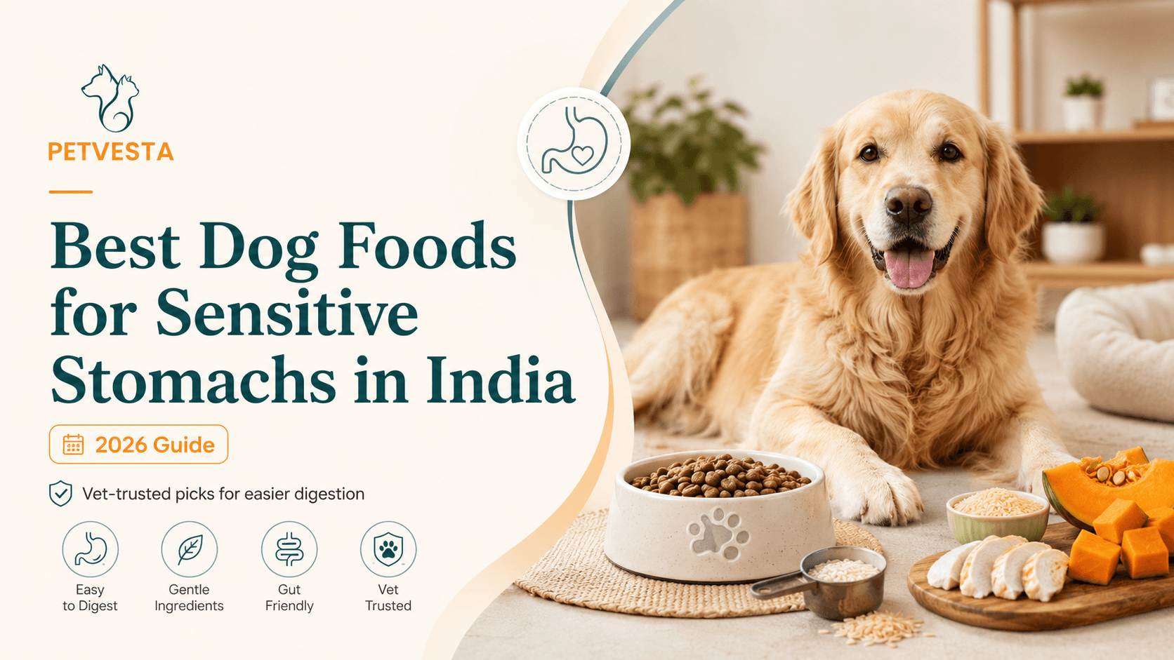 Best Dog Foods for Sensitive Stomachs in India (2026): Vet-Backed Picks for Happier Digestion